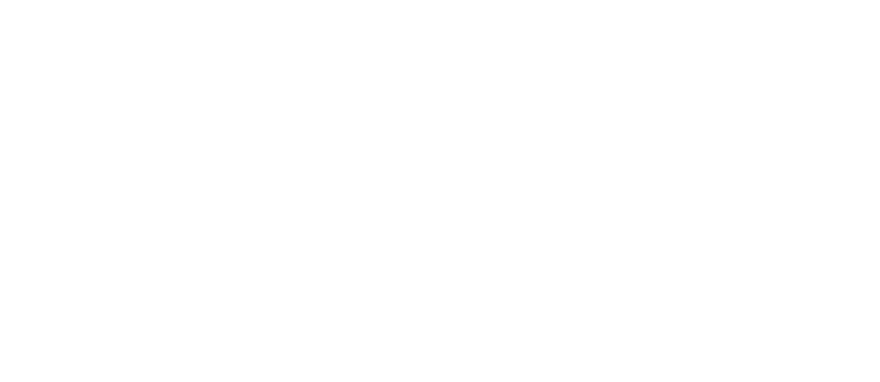 Steela®